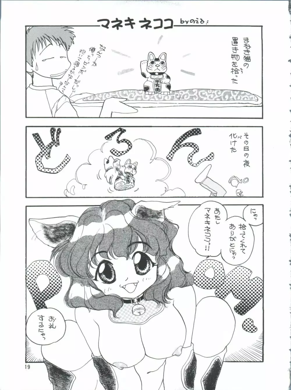 プラスY Vol.26 けもみみっくす 2 - page19