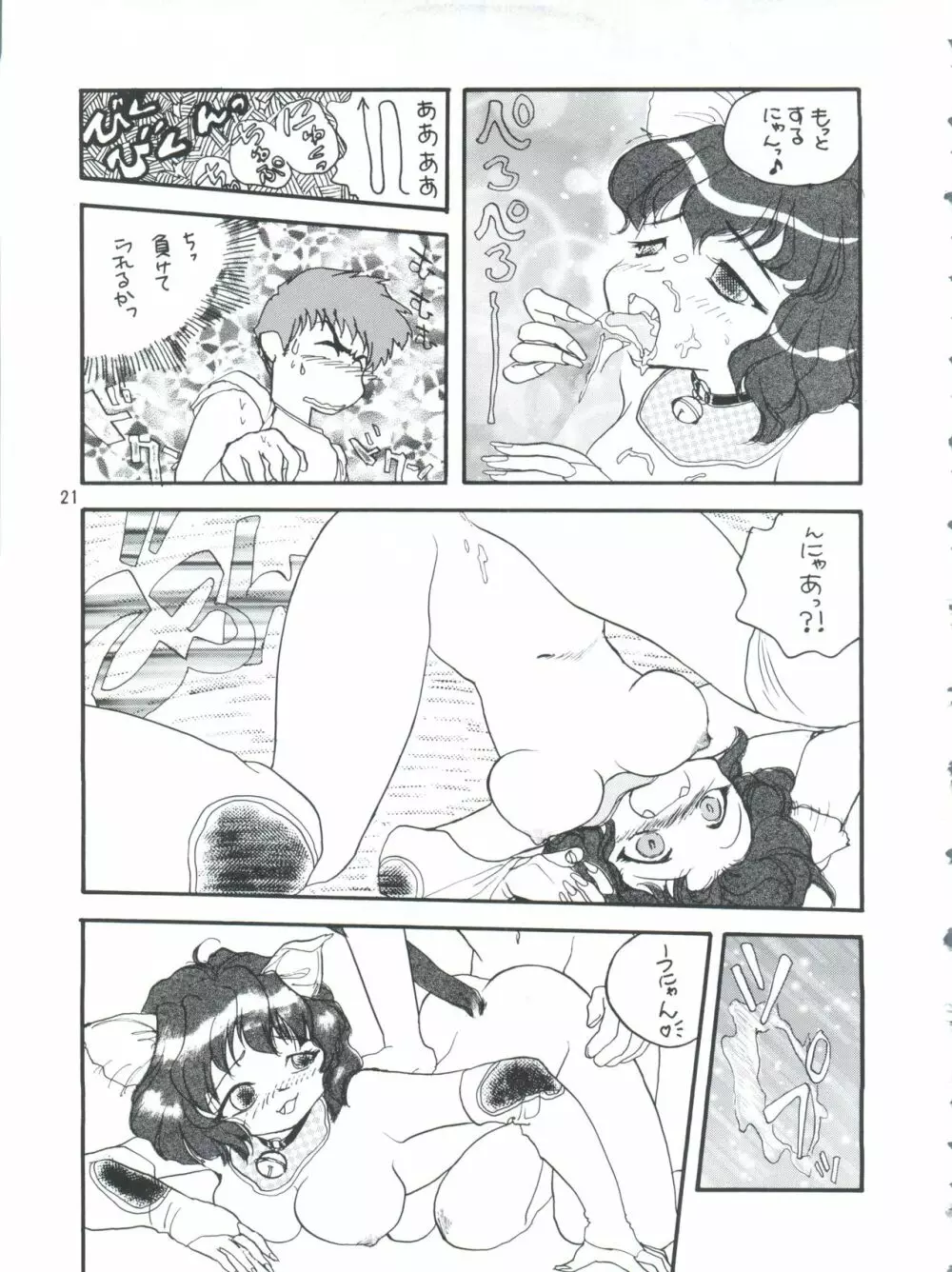 プラスY Vol.26 けもみみっくす 2 - page21