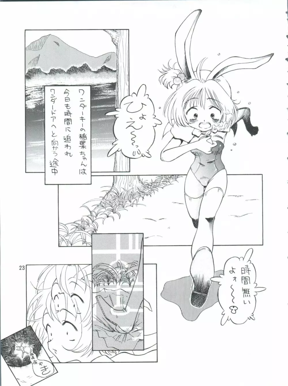 プラスY Vol.26 けもみみっくす 2 - page23