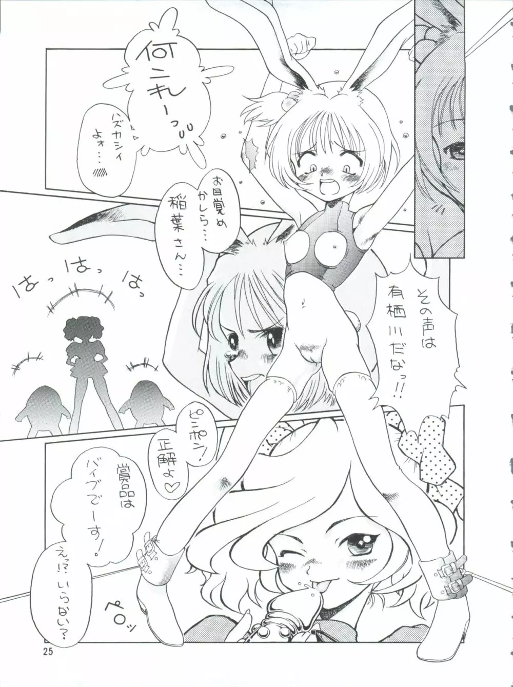 プラスY Vol.26 けもみみっくす 2 - page25