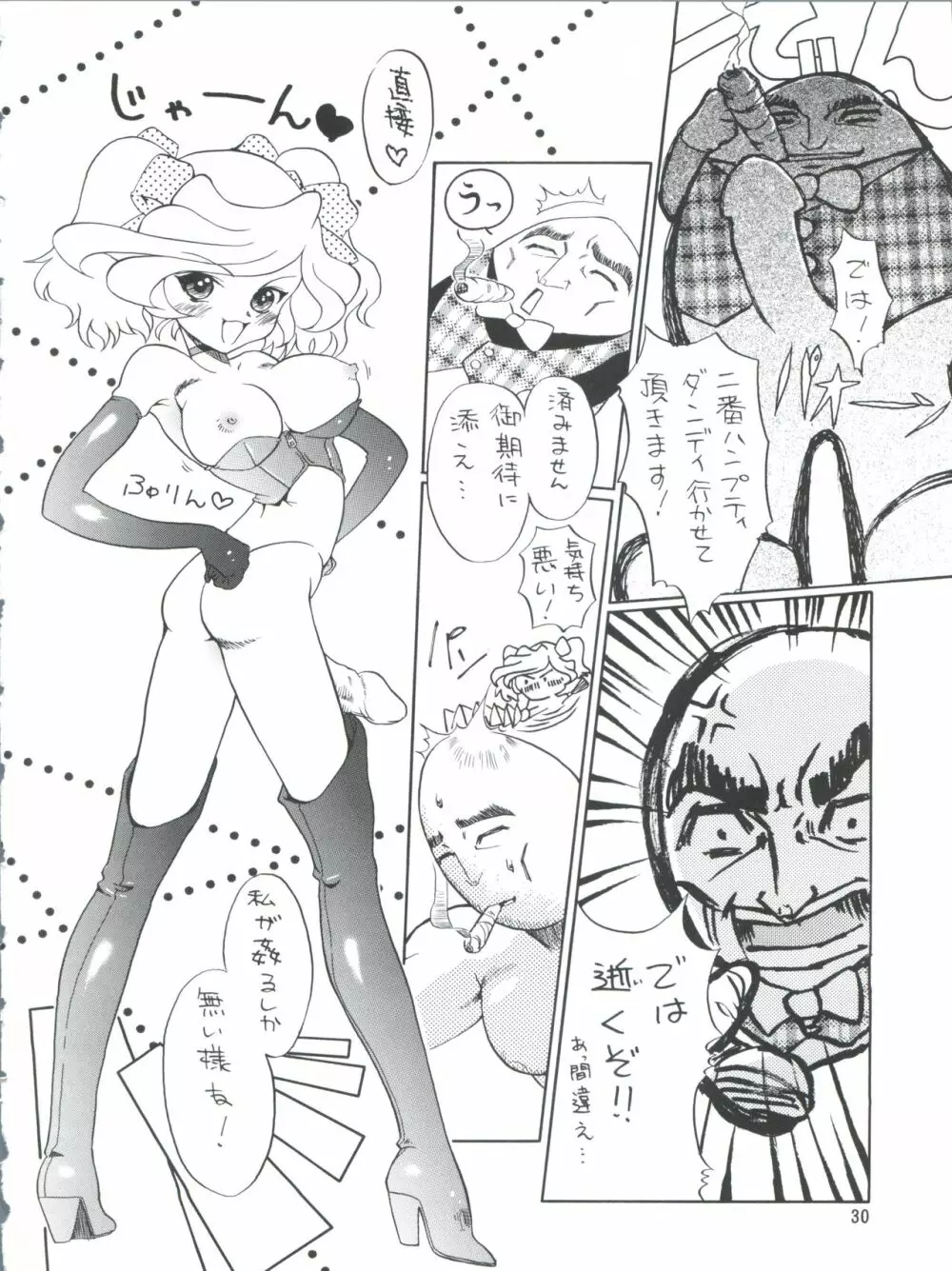 プラスY Vol.26 けもみみっくす 2 - page30