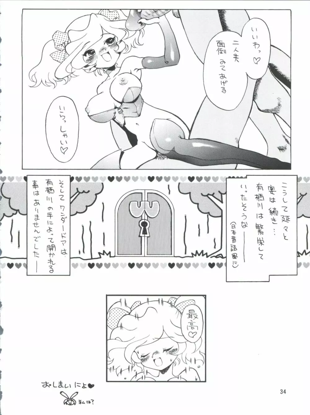 プラスY Vol.26 けもみみっくす 2 - page34