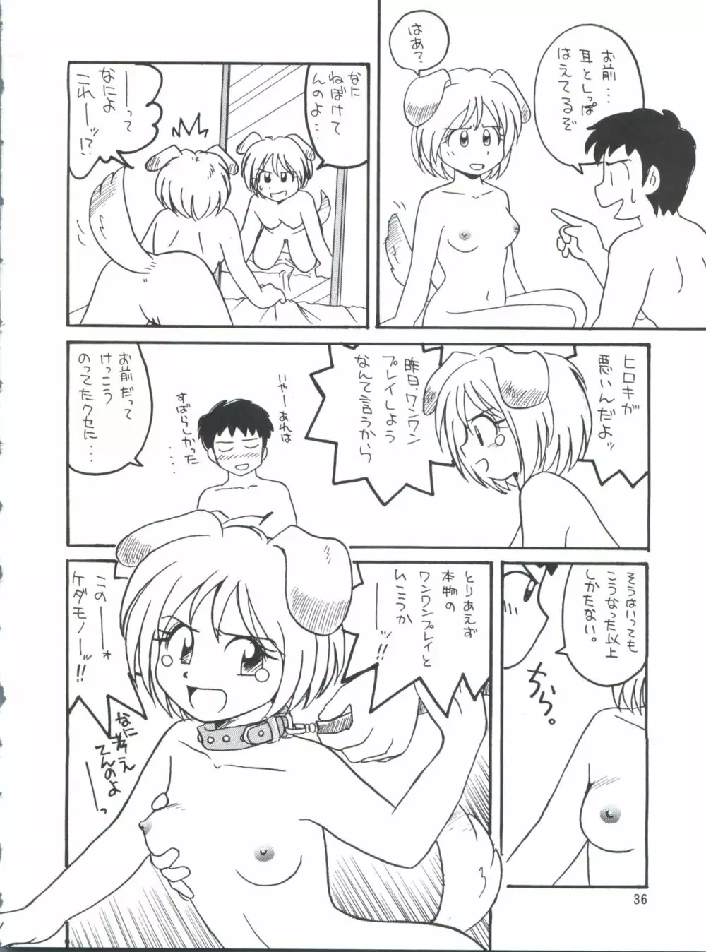 プラスY Vol.26 けもみみっくす 2 - page36