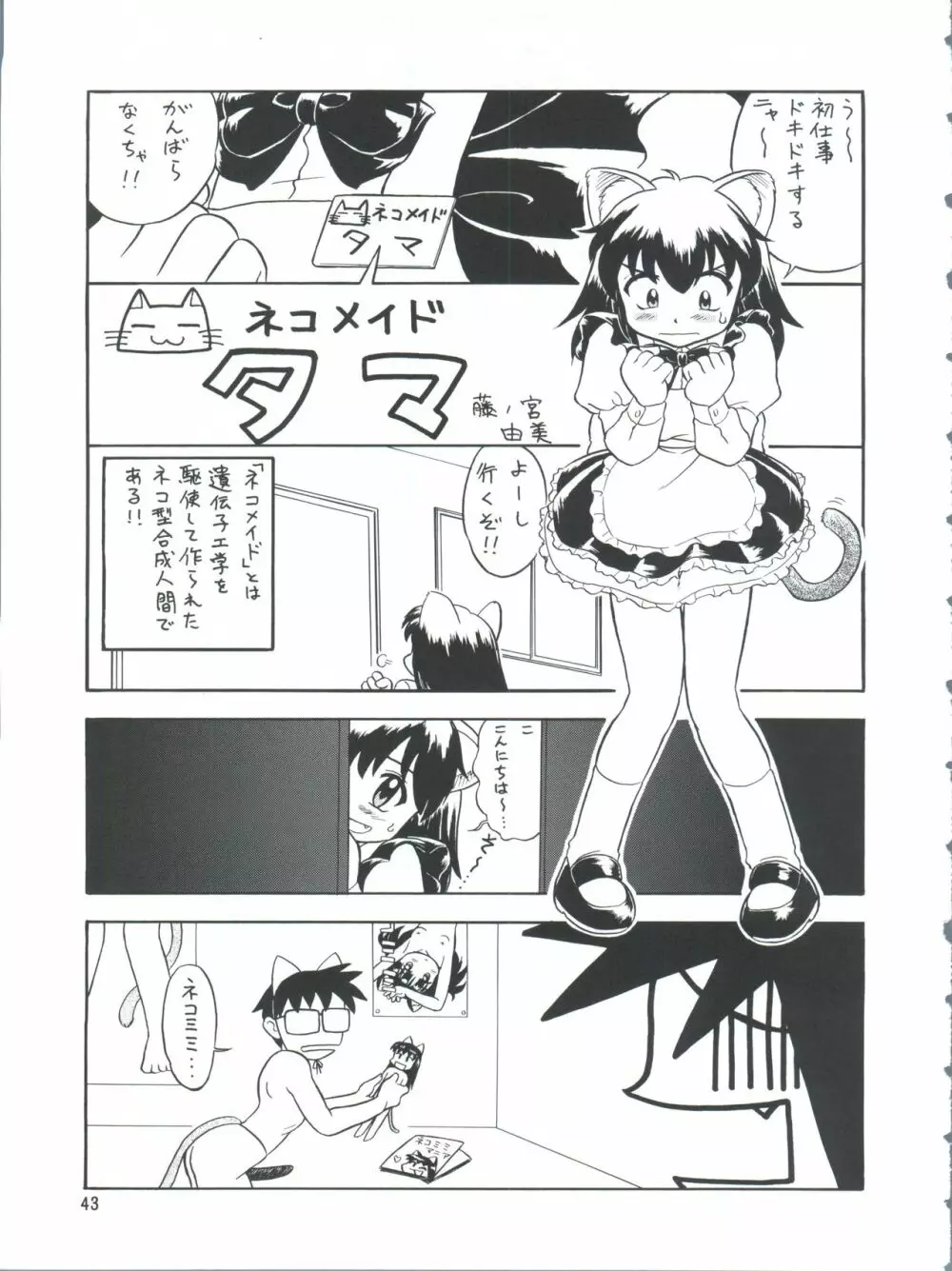 プラスY Vol.26 けもみみっくす 2 - page43