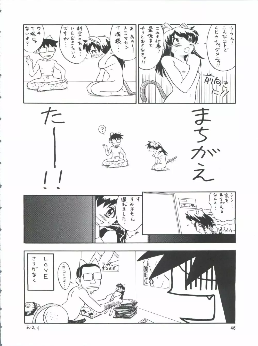 プラスY Vol.26 けもみみっくす 2 - page46