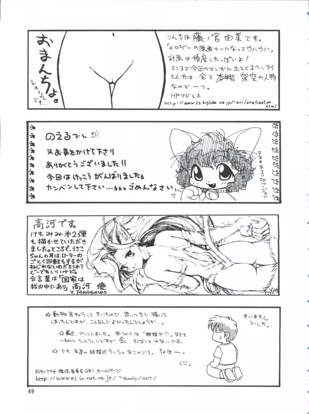 プラスY Vol.26 けもみみっくす 2 - page49