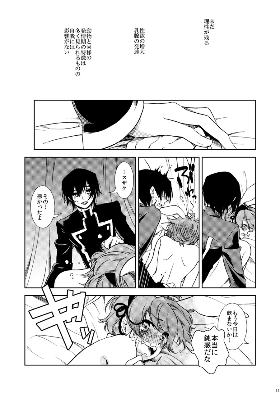 ドロッセルマイヤーの宝石箱 - page10