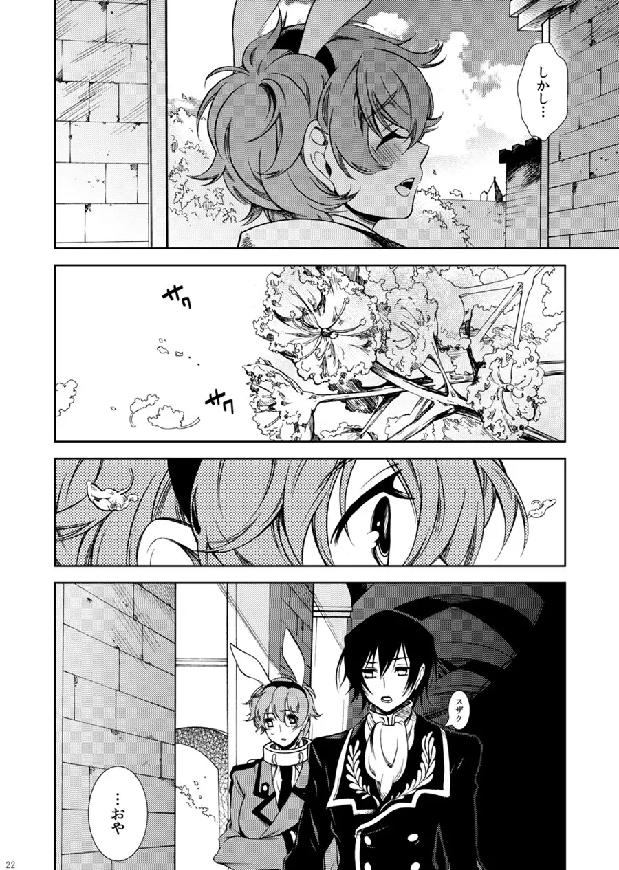 ドロッセルマイヤーの宝石箱 - page21