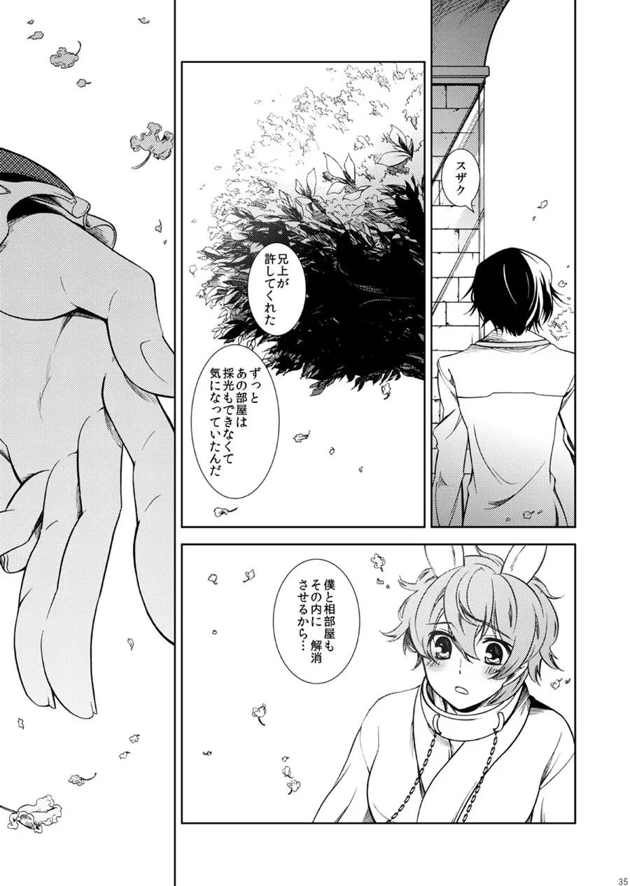 ドロッセルマイヤーの宝石箱 - page34