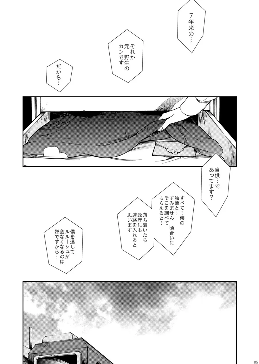 ドロッセルマイヤーの宝石箱 - page84