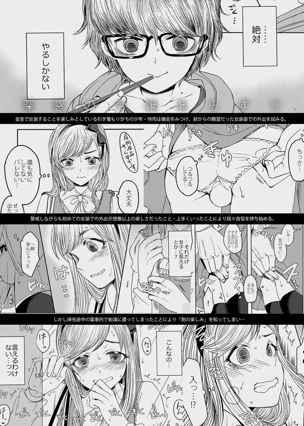 深窓の令嬢 2 - page2