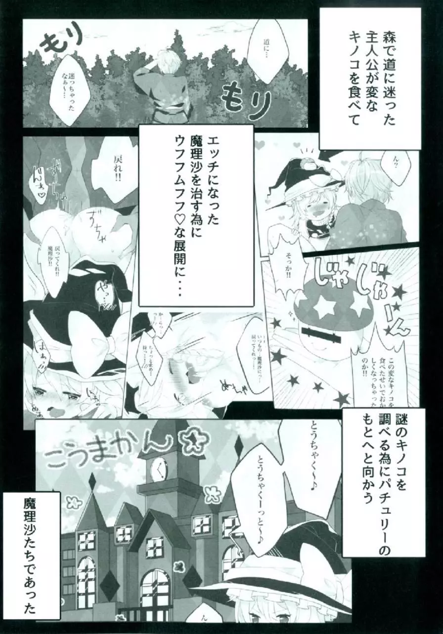 えっちな幻想郷～パチュリーとえっちな魔法編～ - page3