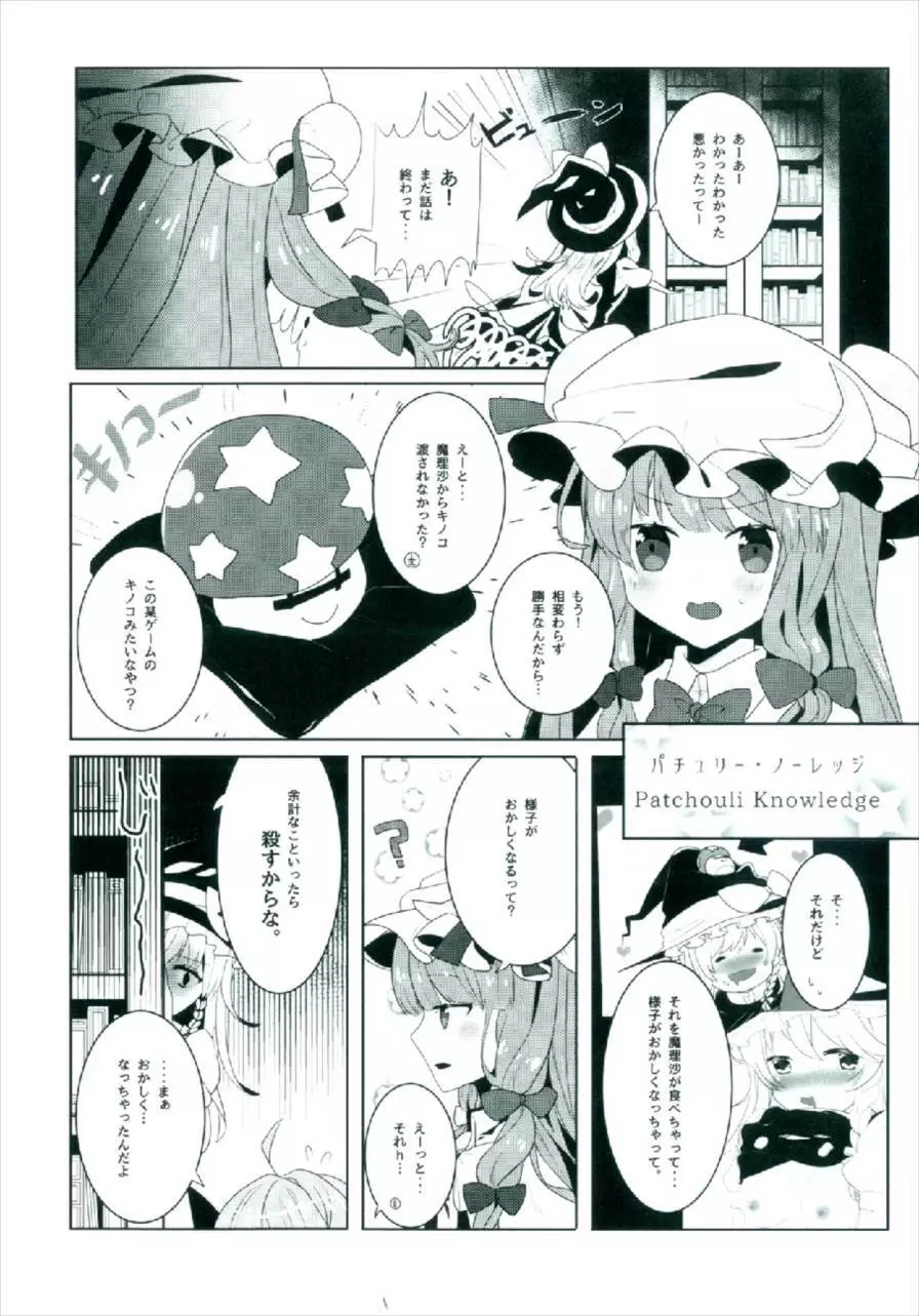 えっちな幻想郷～パチュリーとえっちな魔法編～ - page6