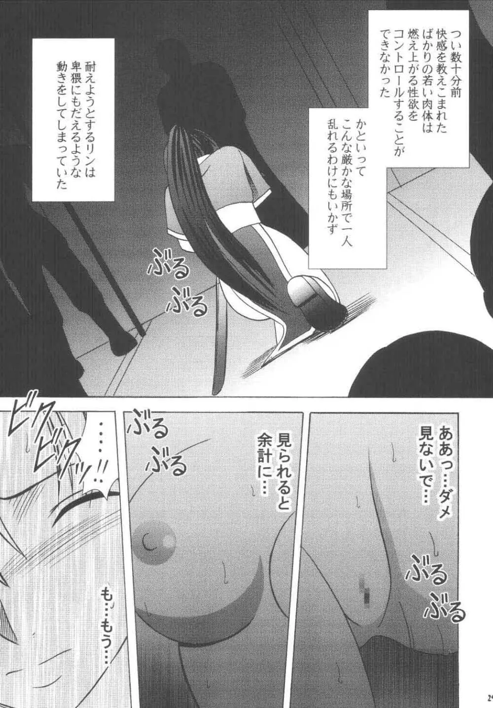 烈火の傷跡 - page28