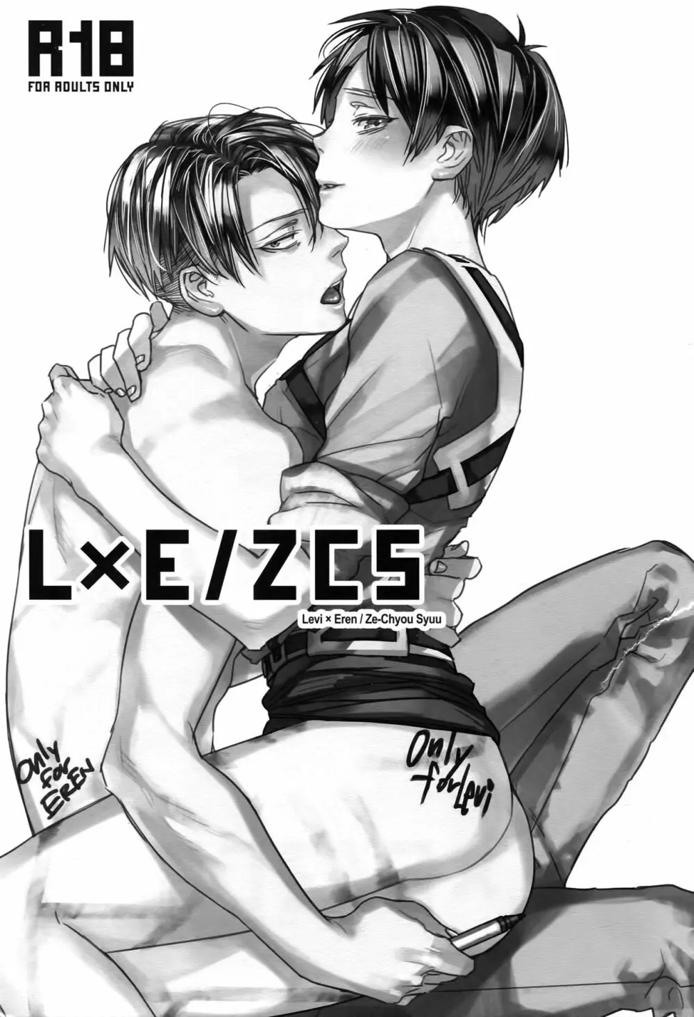 L×E/ZCS - page3