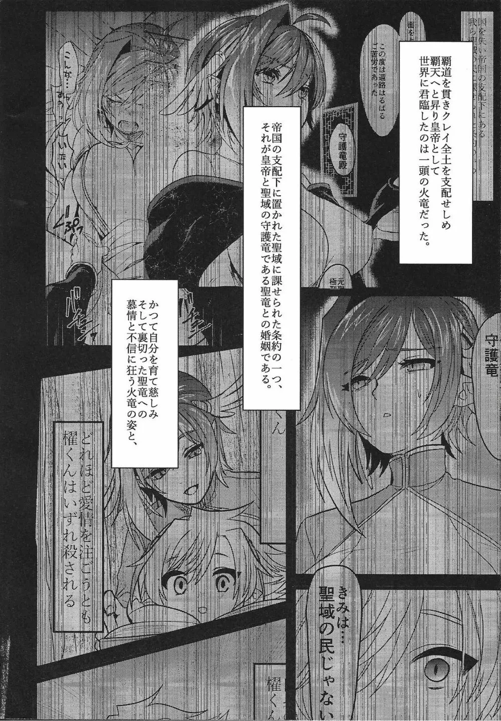 覇天雌皇竜妃・弐 - page3