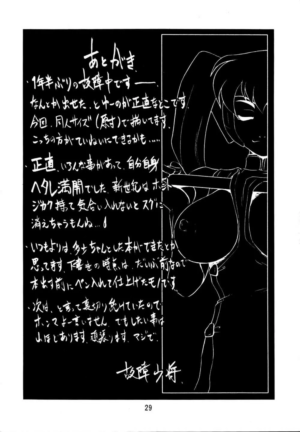 故障中6 - page29