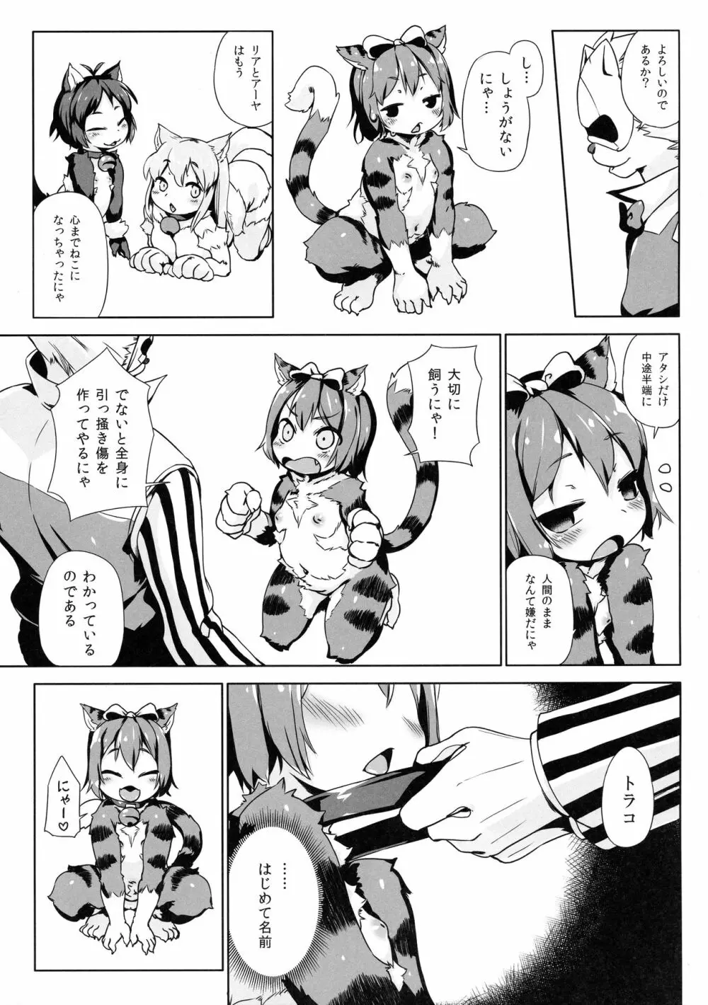 ねこ堕ちシャインフェアリーズ - page39