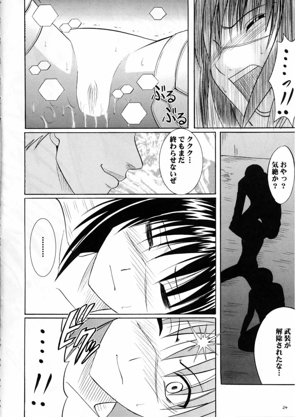 斗う貴き女 2 - page24