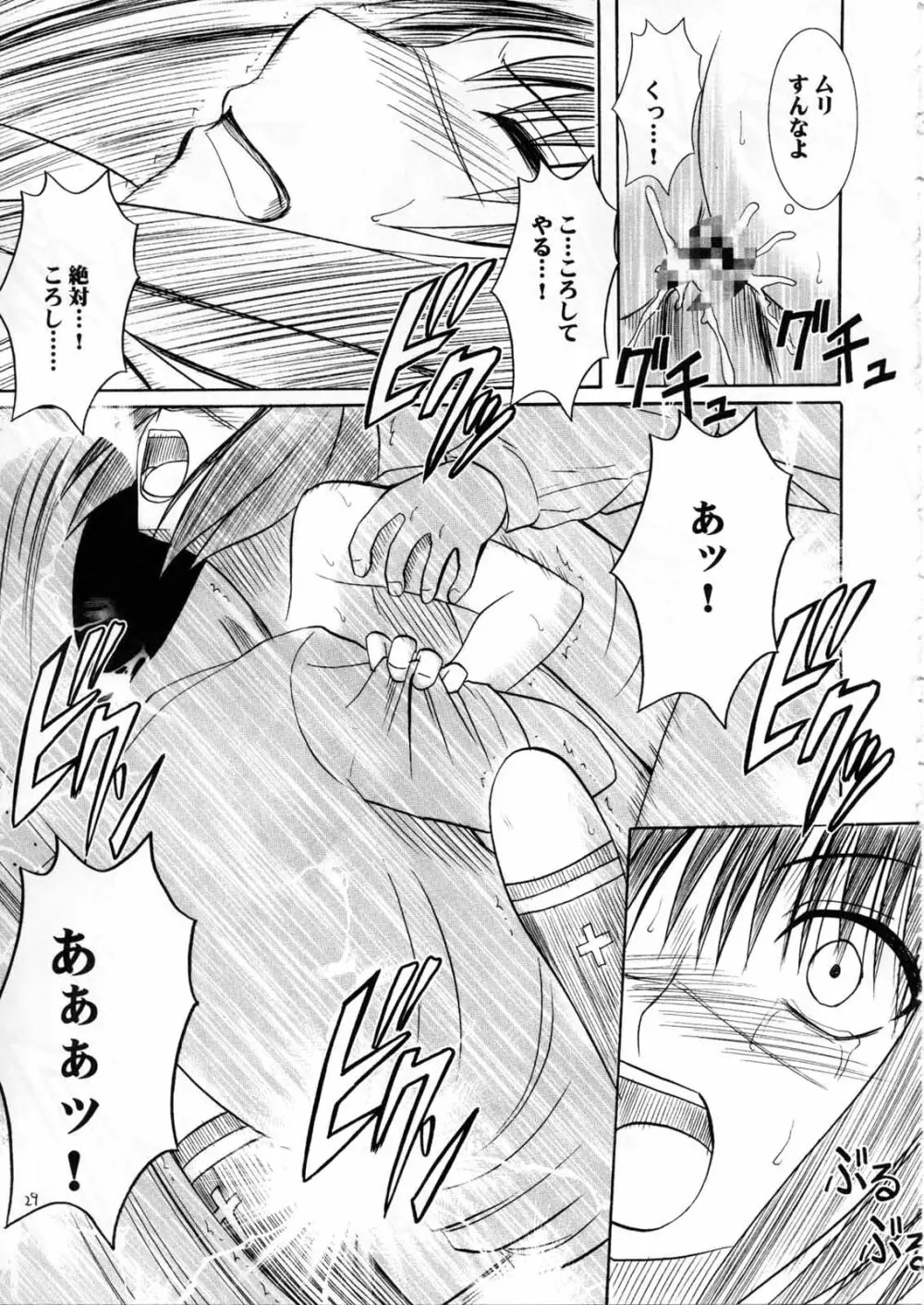 斗う貴き女 2 - page29