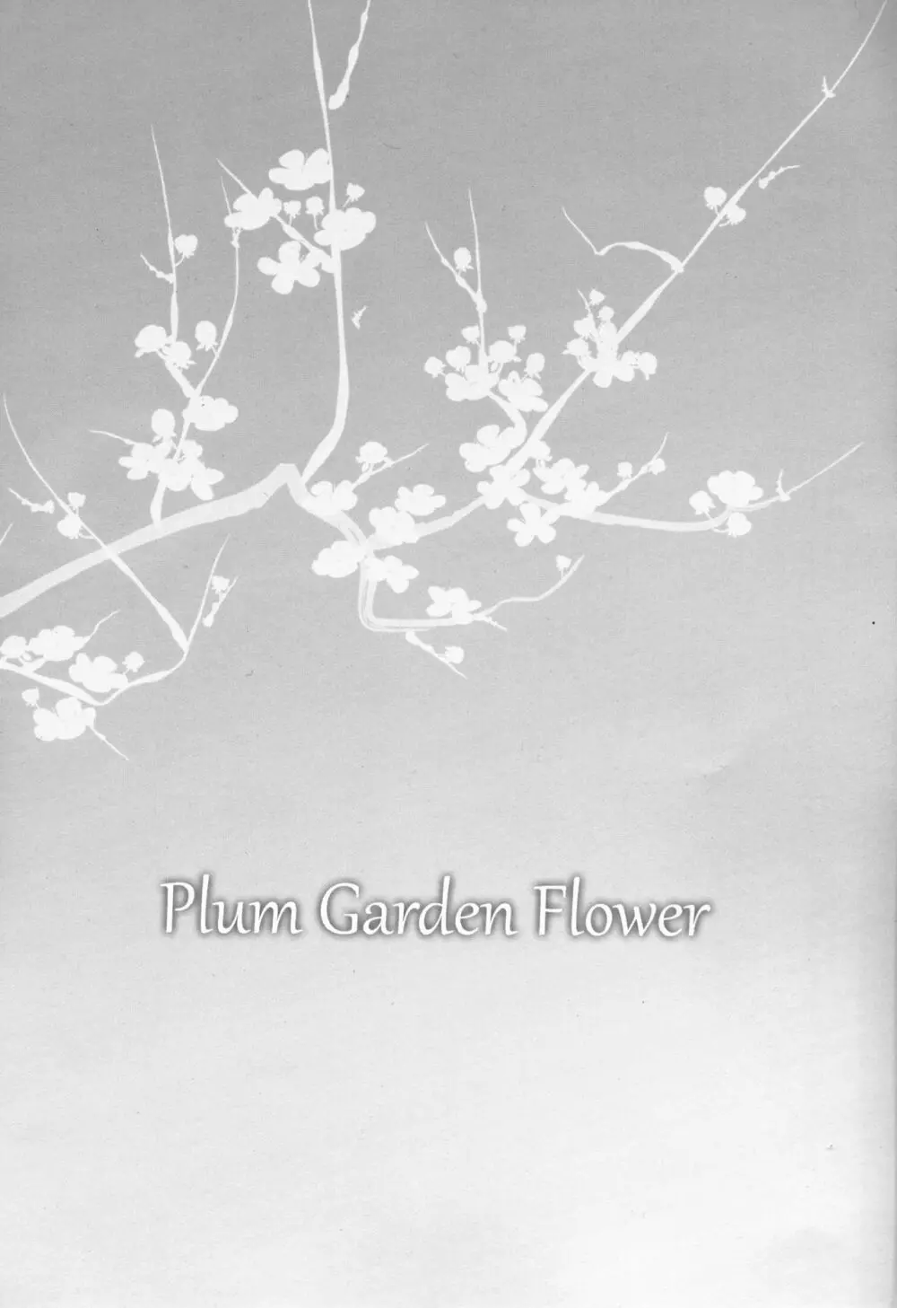 Plum Garden Flower - page3