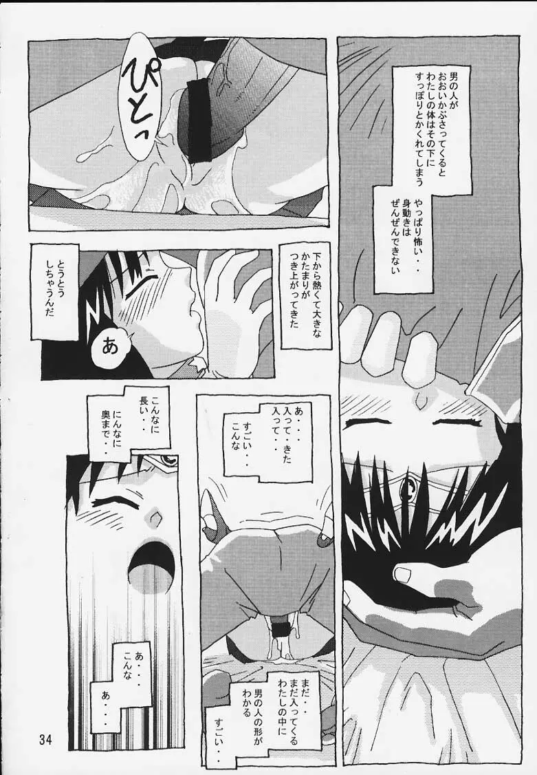 ほたるの連絡帳 - page33