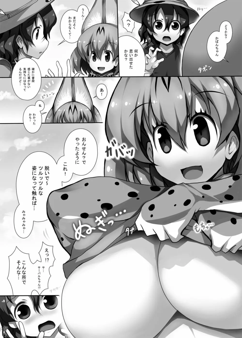 フレンズ達の若干ゃえっちい本 - page11