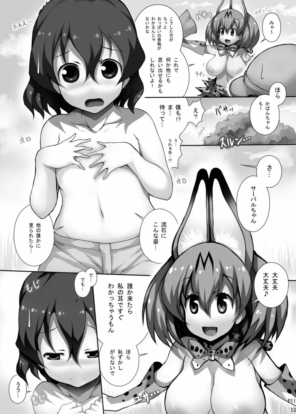 フレンズ達の若干ゃえっちい本 - page12