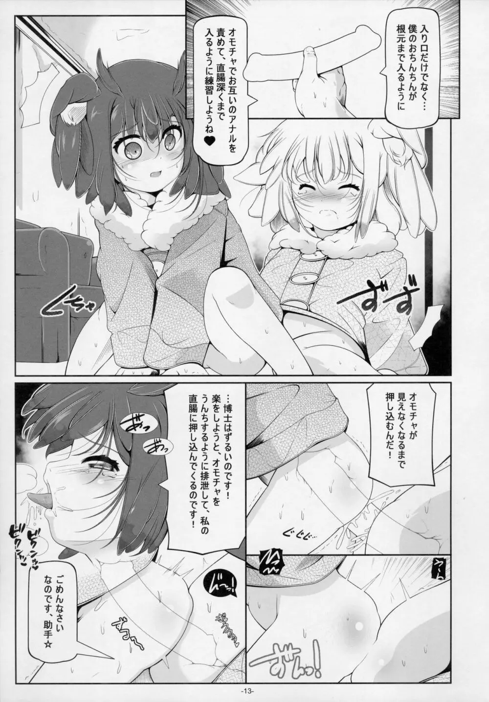 博士・助手の飼い方 - page15