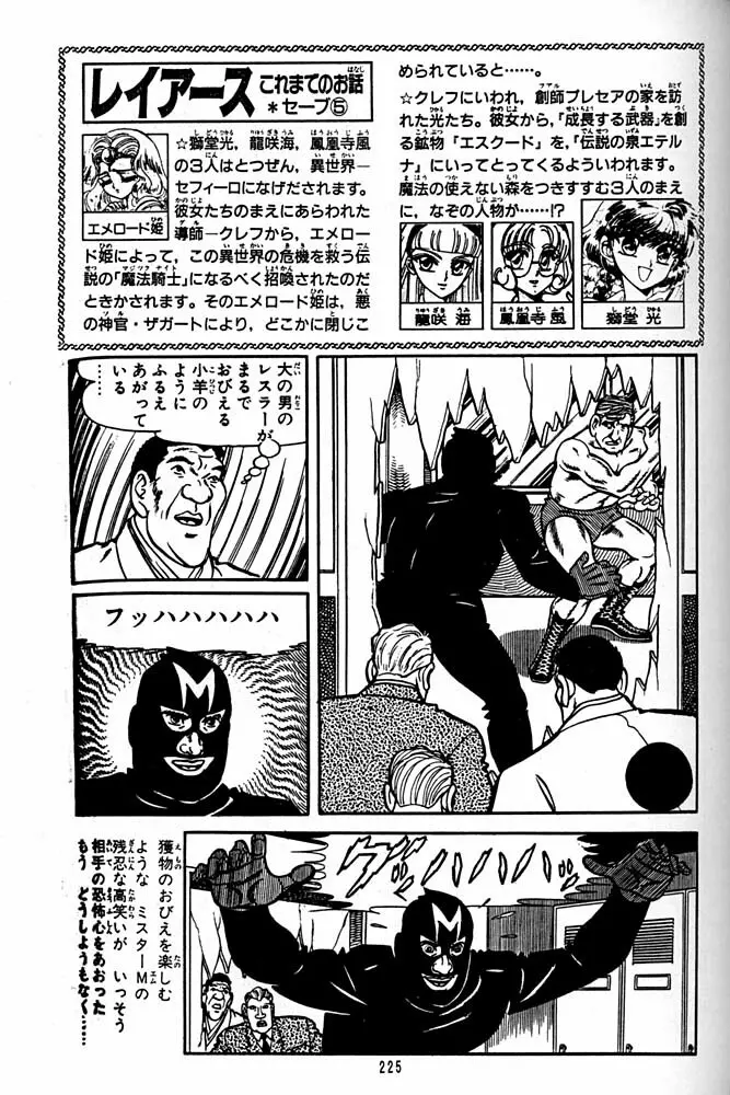 大キ林 - page224