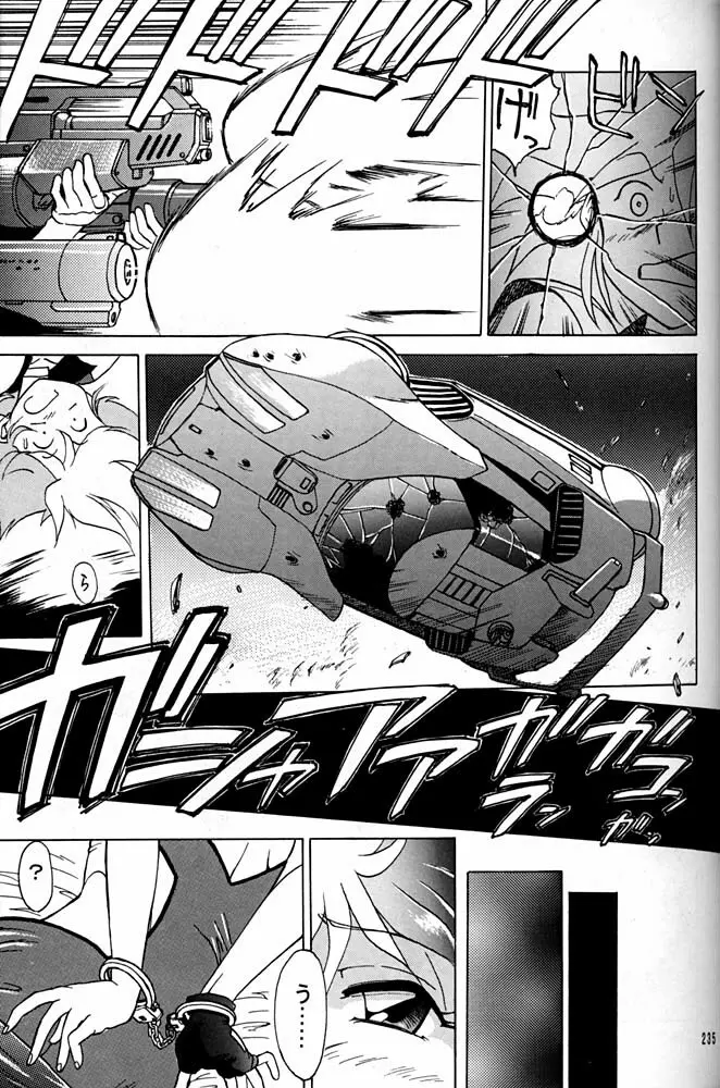 大キ林 - page234