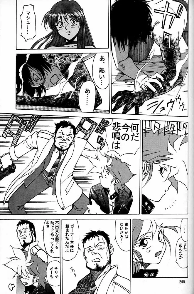 大キ林 - page264