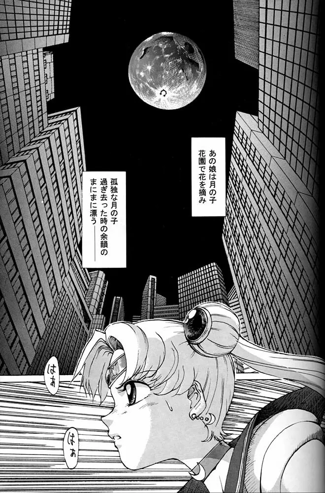 大キ林 - page96