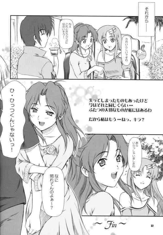 BATTLE OF TWINS～結末の絆～ - page31