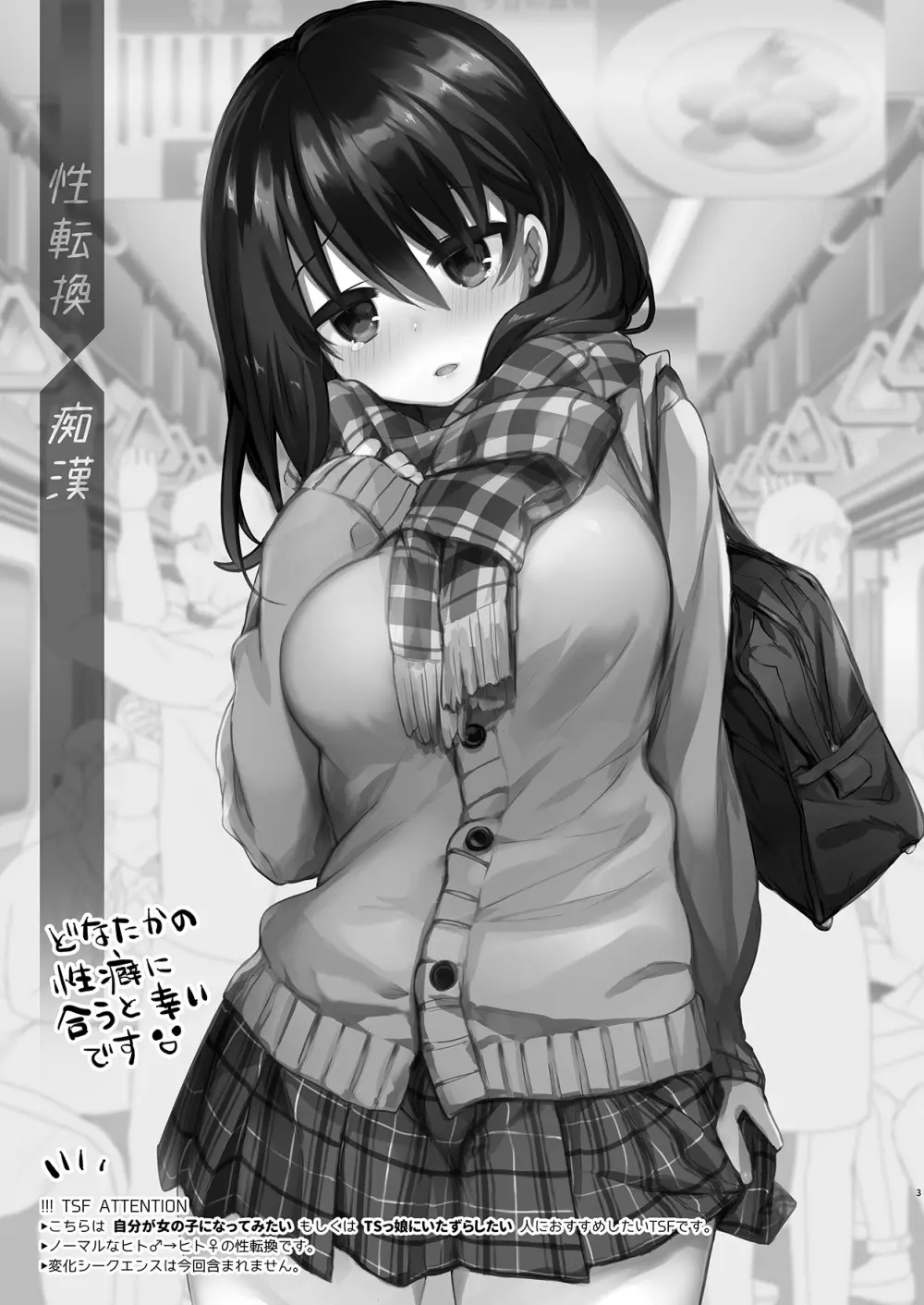 バイト帰りのTSっ娘が痴漢に狙われちゃう本 - page3