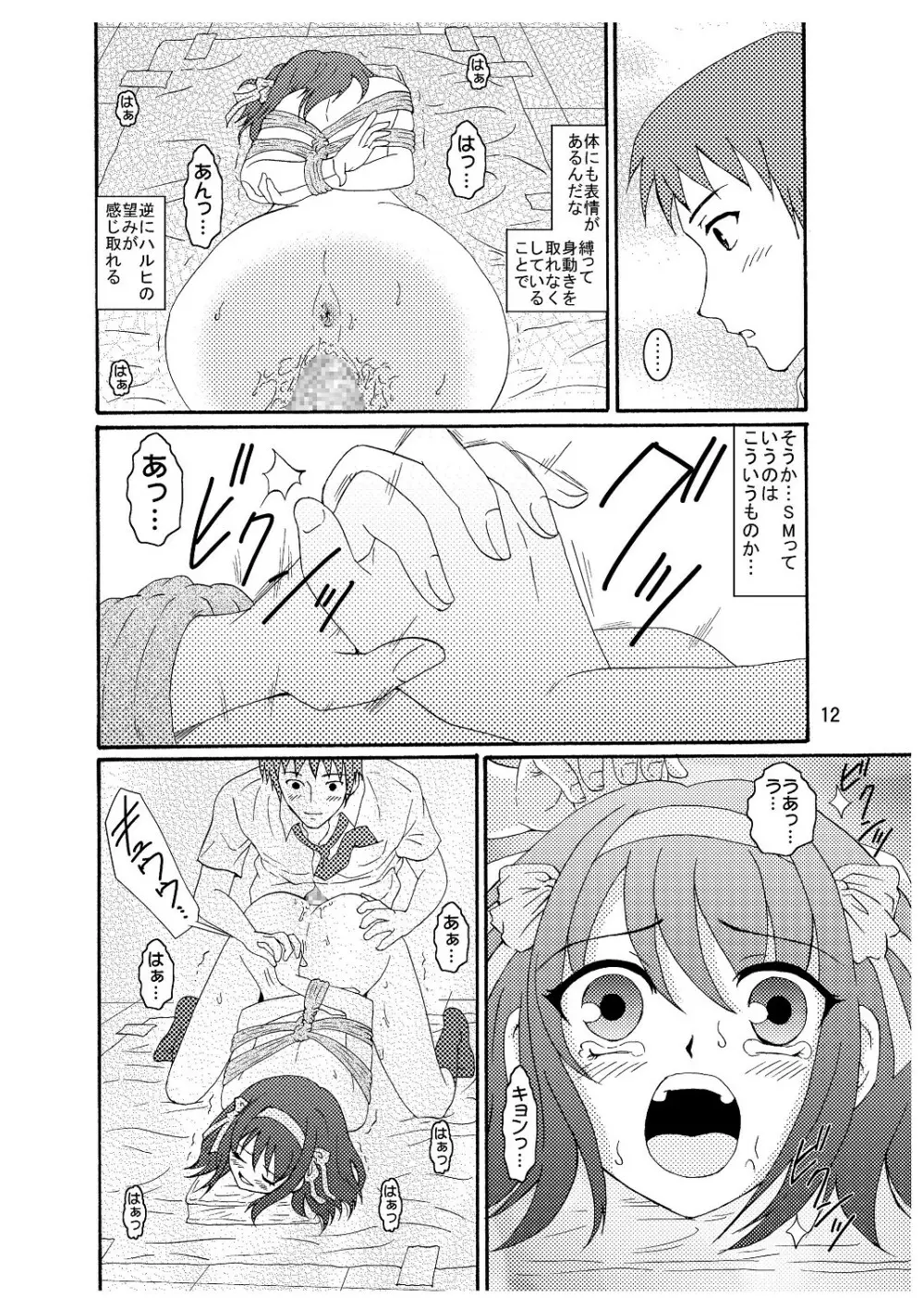 涼宮ハルヒさんの危険な愛体験3 - page13