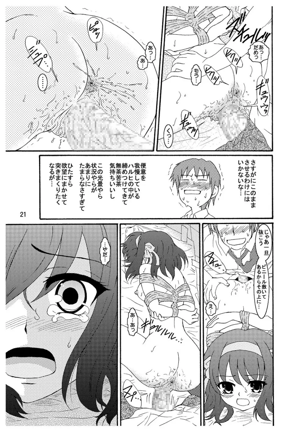 涼宮ハルヒさんの危険な愛体験3 - page22