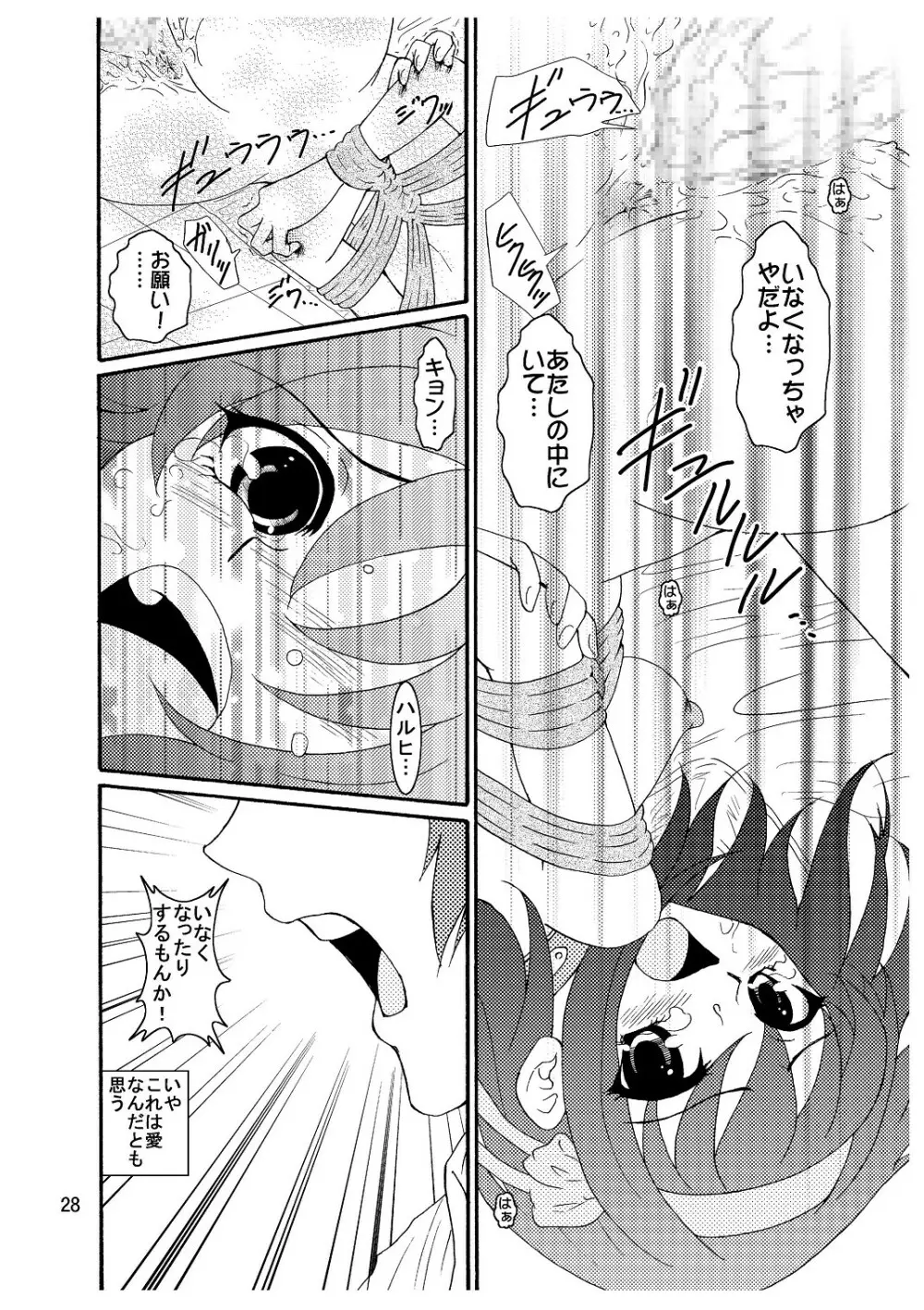 涼宮ハルヒさんの危険な愛体験3 - page29