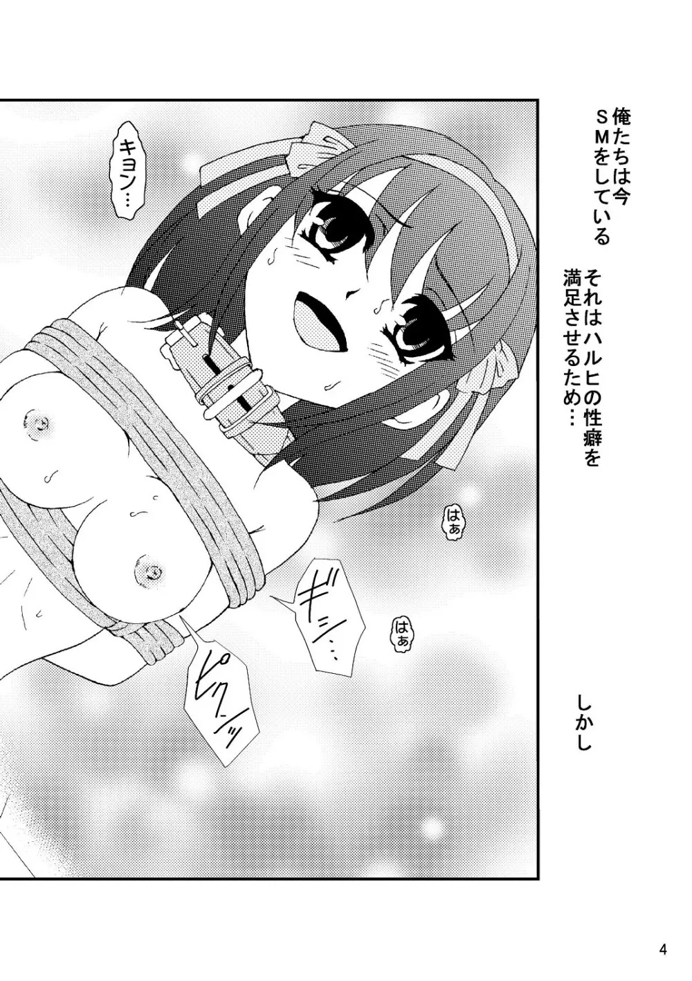 涼宮ハルヒさんの危険な愛体験3 - page5