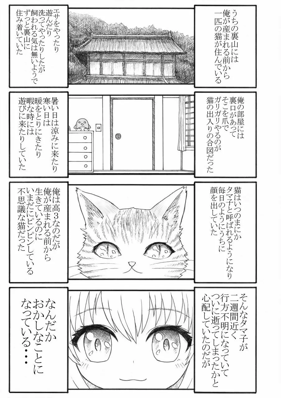 化け猫の恩の返し方 - page2