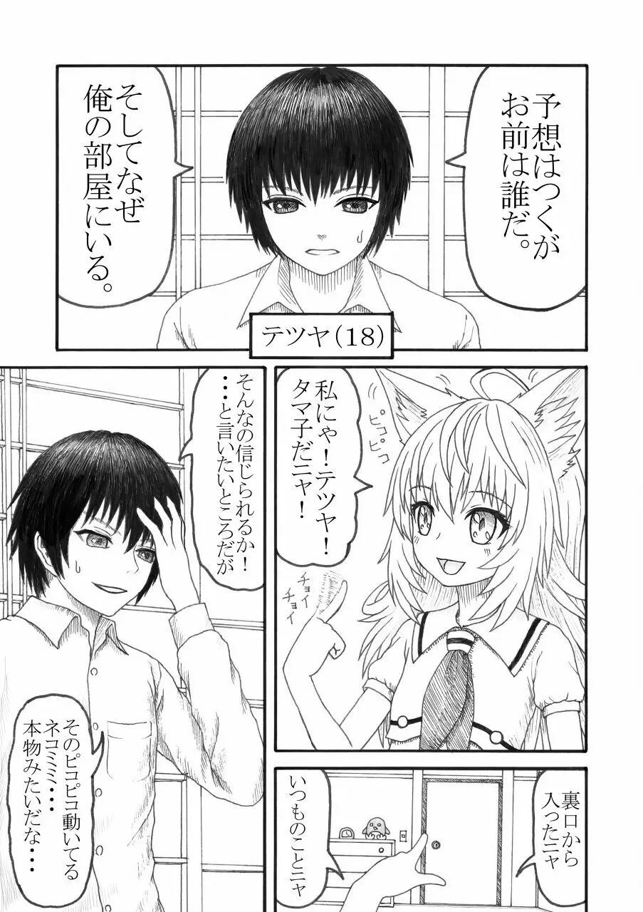 化け猫の恩の返し方 - page4