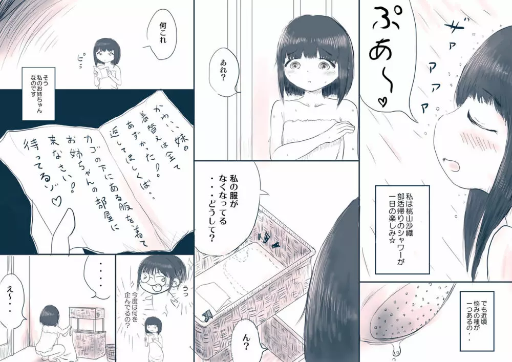 姉の完璧☆盗撮計画 - page2