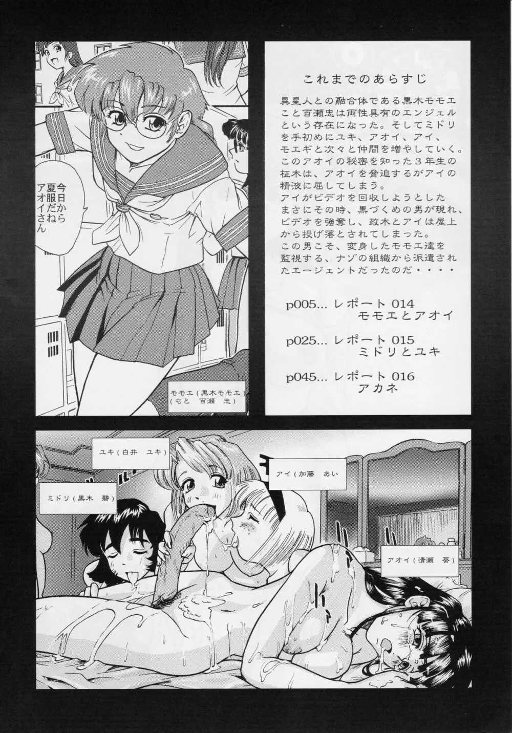 ダルシーレポート 5 - page3