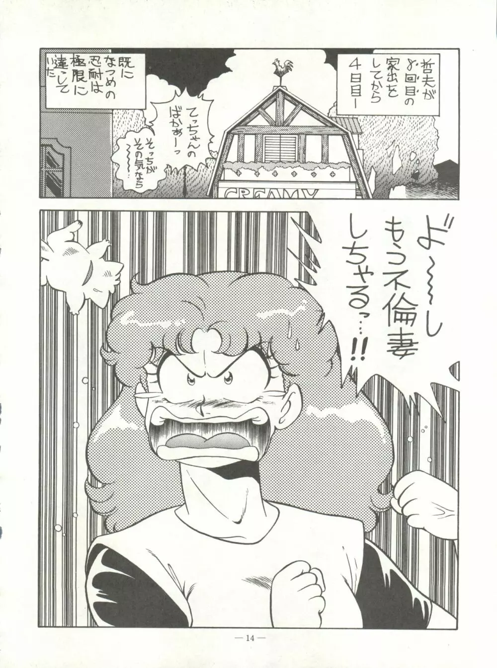 新鮮なミセス自身の微笑 Vol.1 - page14