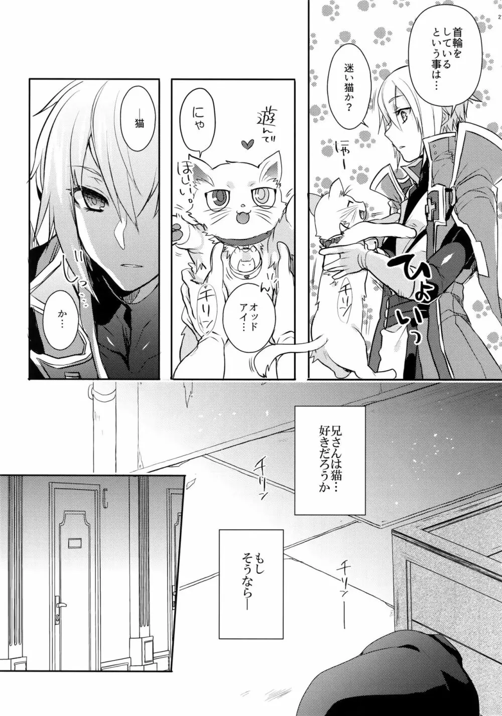 とある衛士の妄想日誌 - page22