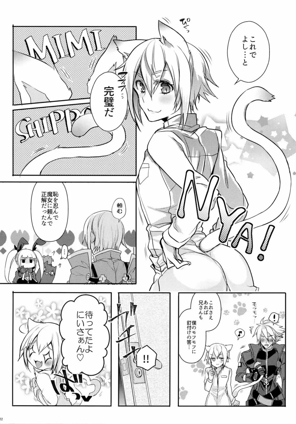 とある衛士の妄想日誌 - page23