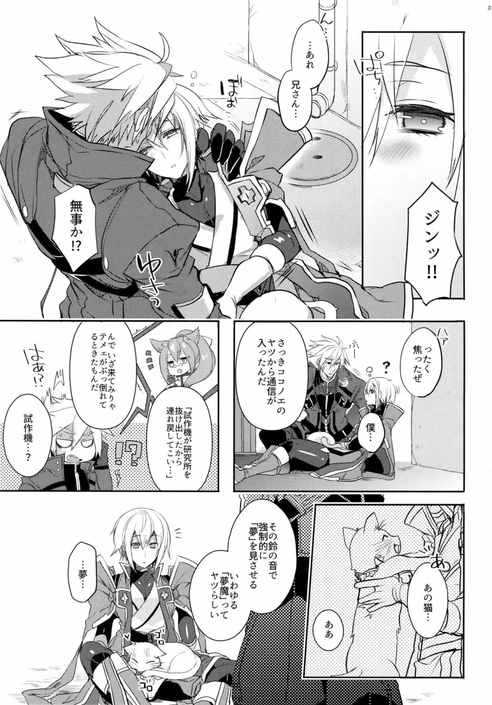 とある衛士の妄想日誌 - page32