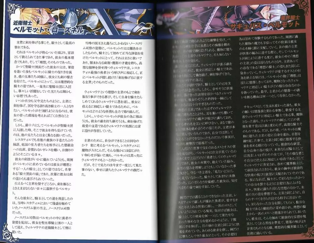 魔物娘図鑑ワールドガイド外伝2 サルバリシオン～レスカティエの魔界騎士たち～ - page6