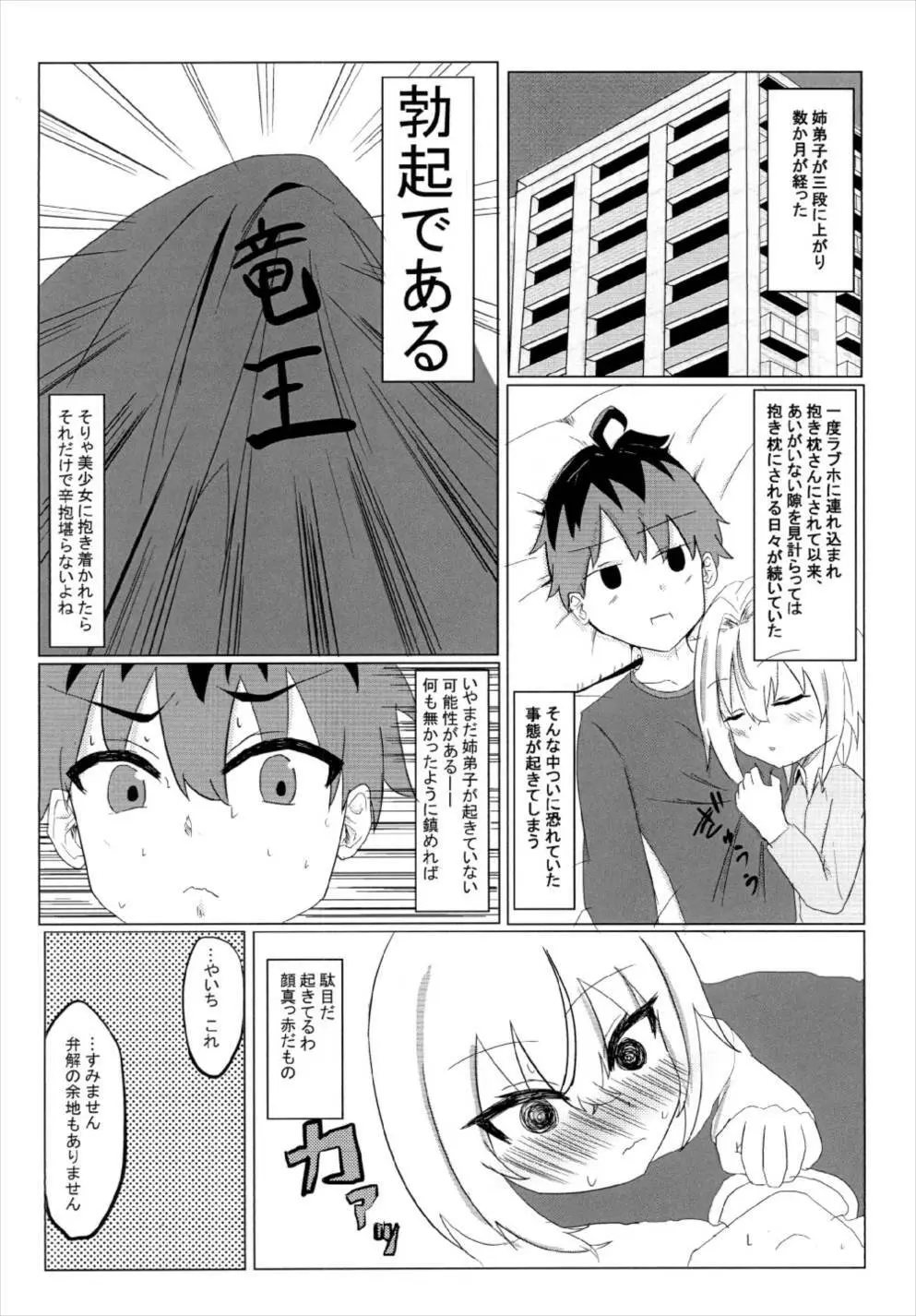 ぎんこちゃんといちゃいちゃする本 - page4