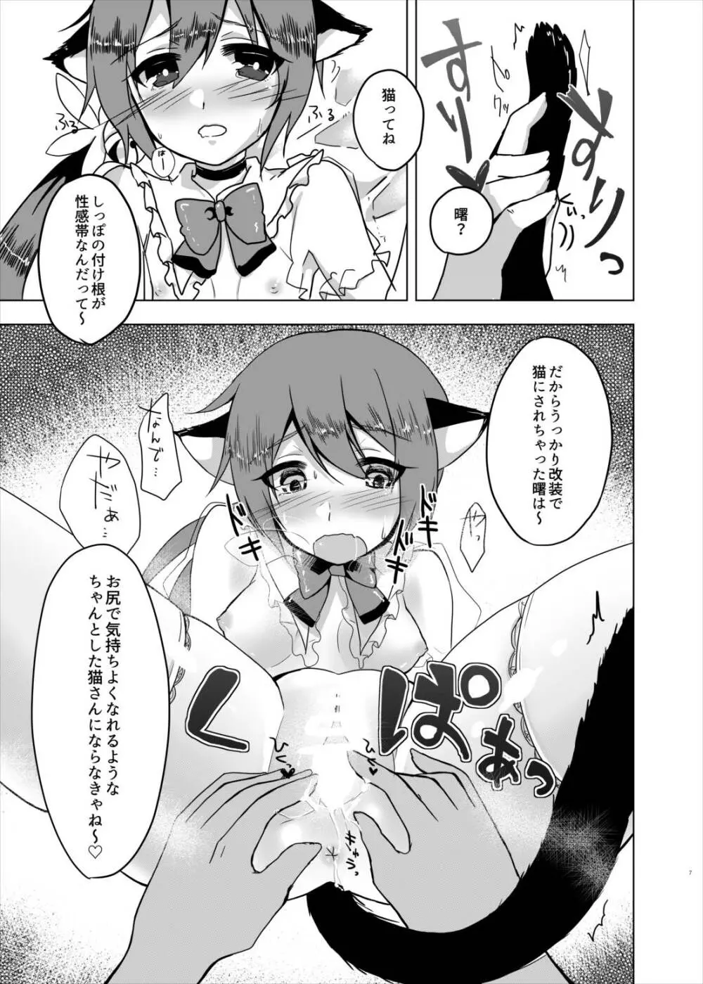 改装とか言って勝手に猫にしてるんじゃないわよ! - page8